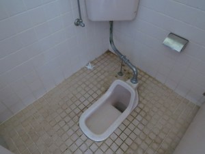 What Scares Me about Japan